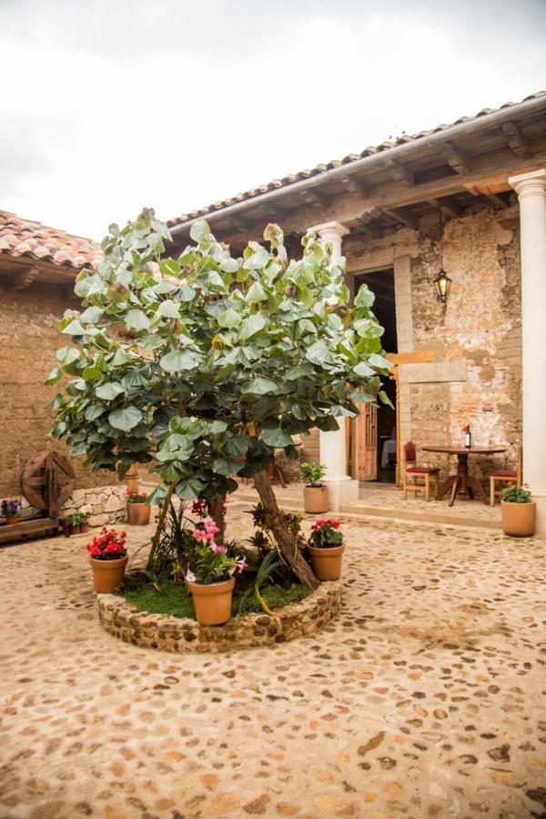 Hotel Casa De Gandhi San Cristóbal de Las Casas Exteriér fotografie